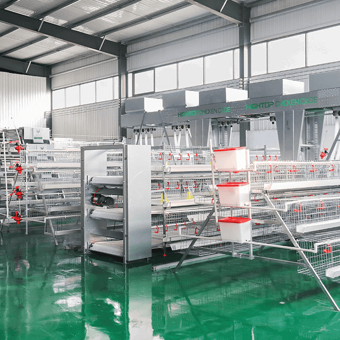 Layer Chicken Cage, Battery Cage System Manufacturers & Supplier